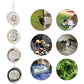 3Pcs Stainless Steel Rotating Reflective Bird Scare Tool-Circular