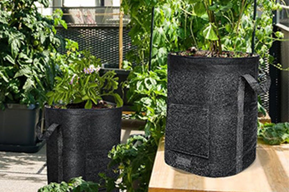 2X15 Gallon Potato Grow Bags with Dual Harvest Window Visible Window Non-Woven Planter Pot