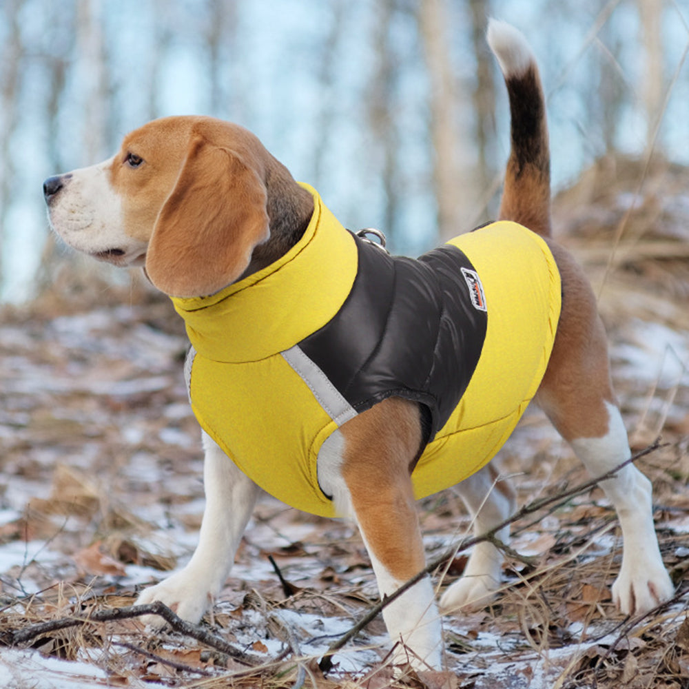 Pet Winter Warm Coat with Reflective Padded