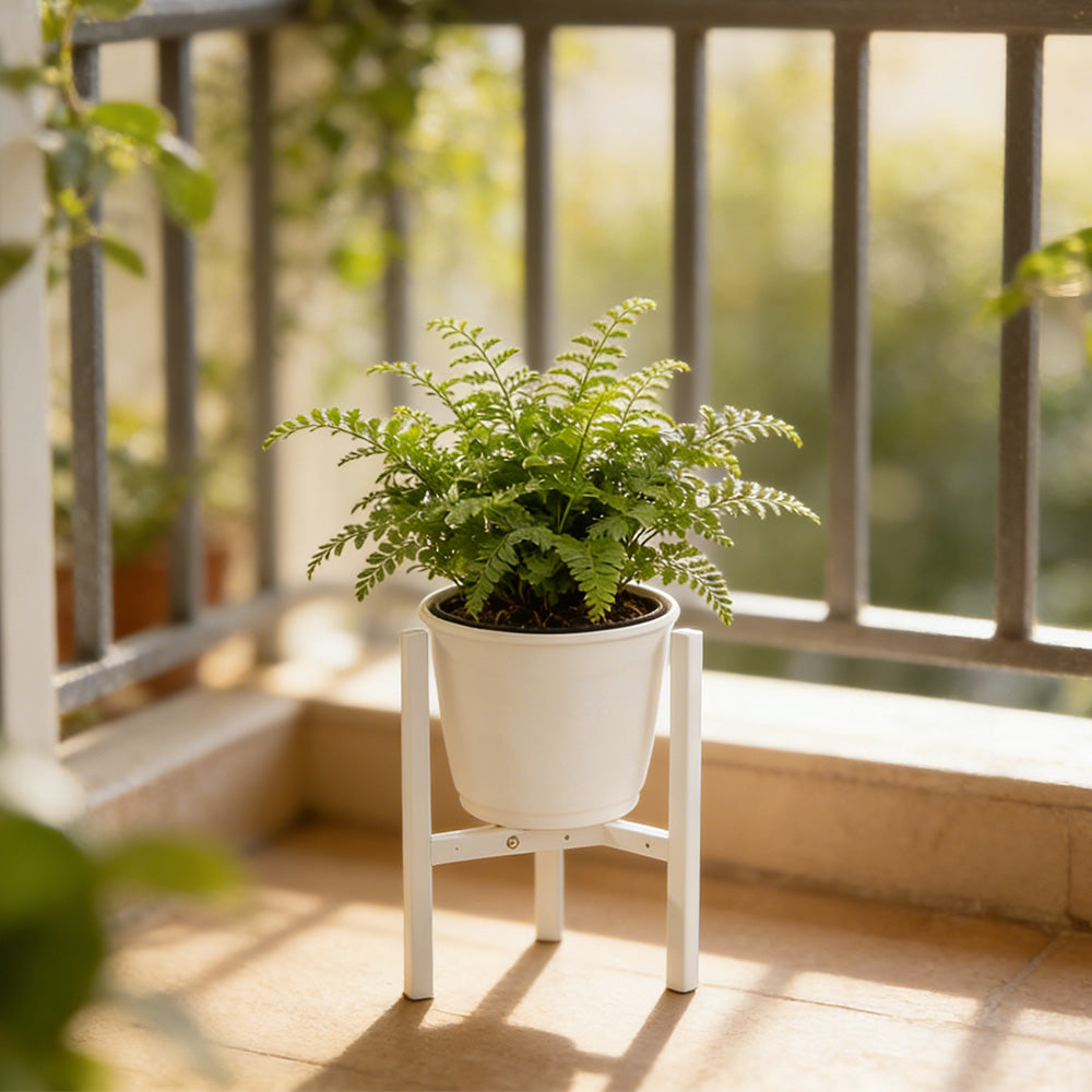 Plant Stand Indoor Adjustable Metal Heavy Duty Plant Stands Fits 23-32cm Pots