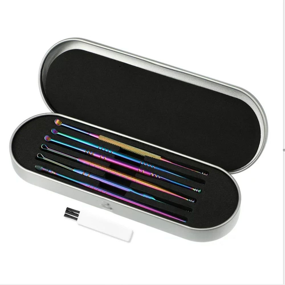 6Pcs Stainless Steel Ear Cleaning Tool Set with Storage Case