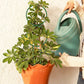 4Pcs Plant Trellis Metal Potted Houseplant Trellis Climbing Plants Support Stake