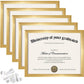 Certificate Frame with PVC for Diploma Document Photo Display