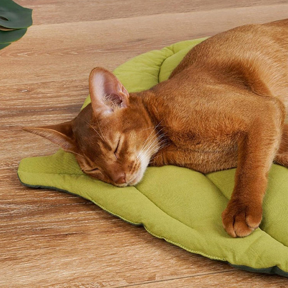 Double-Sided Leaf Shape Pet Bed Mat