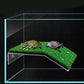 Cora Turtle Basking Platform Ramp Reptile Resting Terrace Simulation