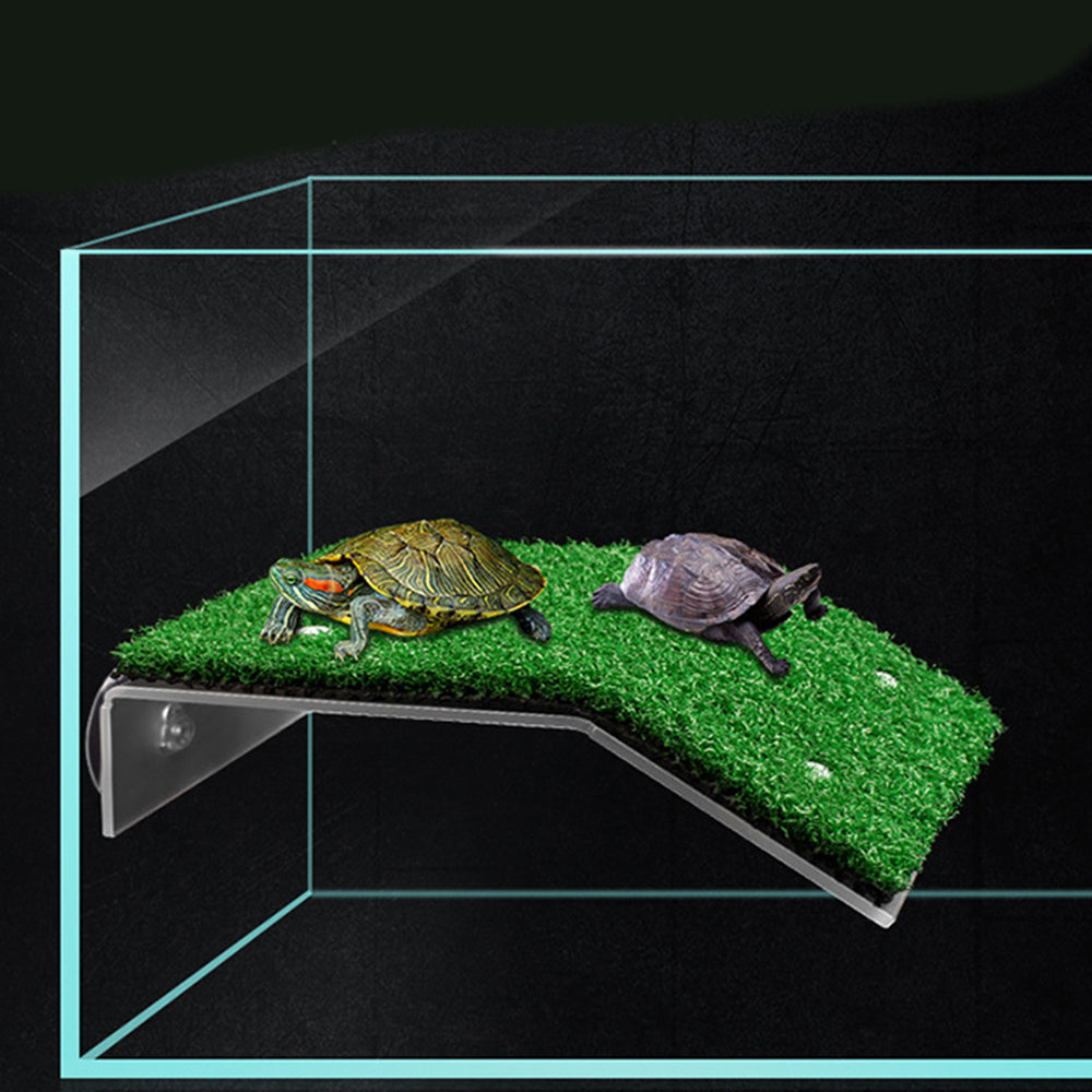Cora Turtle Basking Platform Ramp Reptile Resting Terrace Simulation