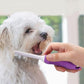 2Pcs Detangling Pet Comb with Long and Short Stainless Steel Teeth