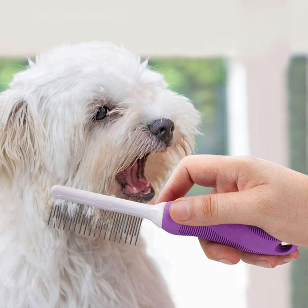 2Pcs Detangling Pet Comb with Long and Short Stainless Steel Teeth