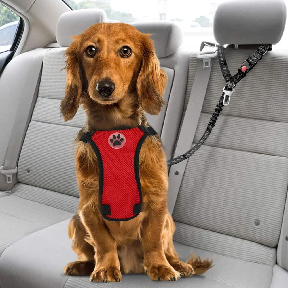 Removable Dog Belt Harness for Car Adjustable High Elastic Bungee