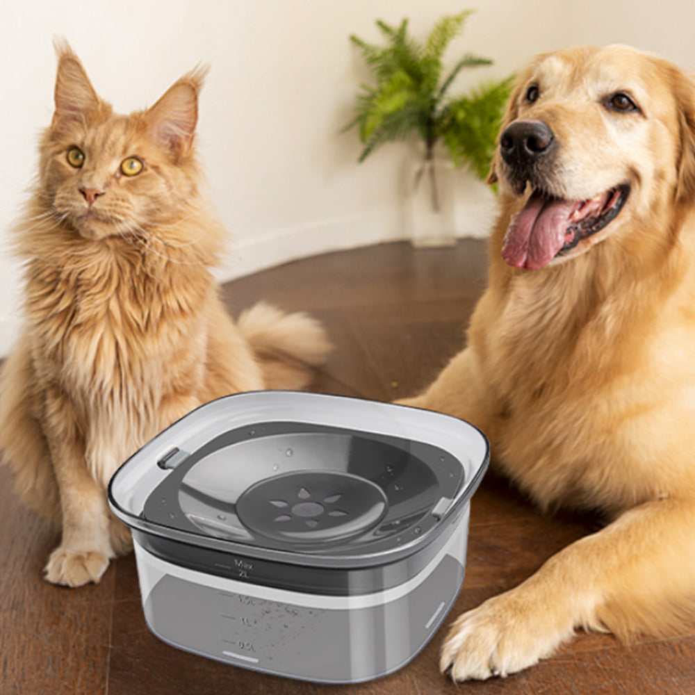 2L Pet No Spill Water Bowl