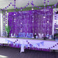 2Pcs 2m Metallic PET Foil Fringe Door Curtains for Party Backdrops