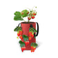 3 Gallon Grow Bag for Strawberry Vegetables with 12 Planting Holes