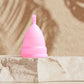 Lady Period Hygiene Reusable Soft Silicone Menstrual Cup Kit