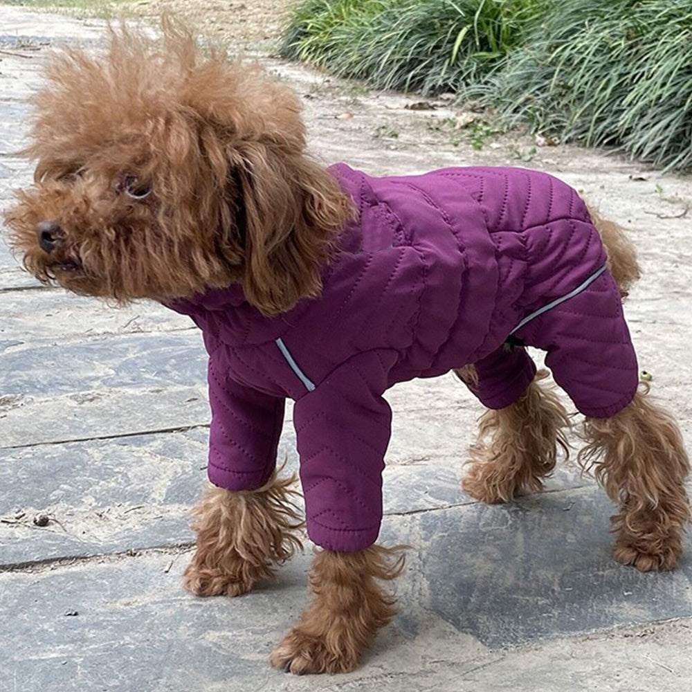 Dog Coat 4 Legs Covered Windproof Waterproof Dog Winter Jacket-Purple