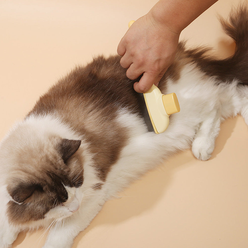 2PCS Pet Hair Removal Comb With Long And Short Teeth Flea Comb Grooming Brush For Cat Dog