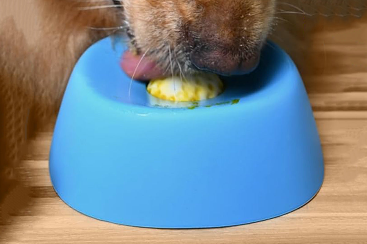 Slow Feeder Dog Bowls With Rolling Ball For Liquid Treat Training Snack Bowl