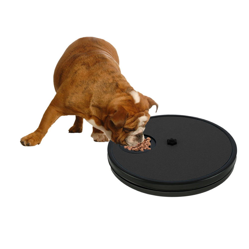 Nails Non-Slip Dog Scratch Board with Hidden Treat Compartments