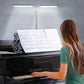 Double Head LED Foldable Touch Control Desk Light