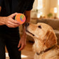 Interactive Dog Ball Toy Smart Moving Bouncing Dog Ball with LED Lights for Dogs Puppies