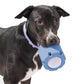 Tennis Tumble Puzzle Chew Toy for Pet Dog