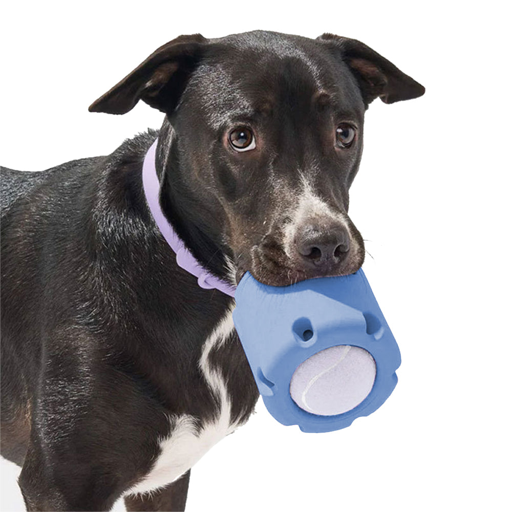 Tennis Tumble Puzzle Chew Toy for Pet Dog