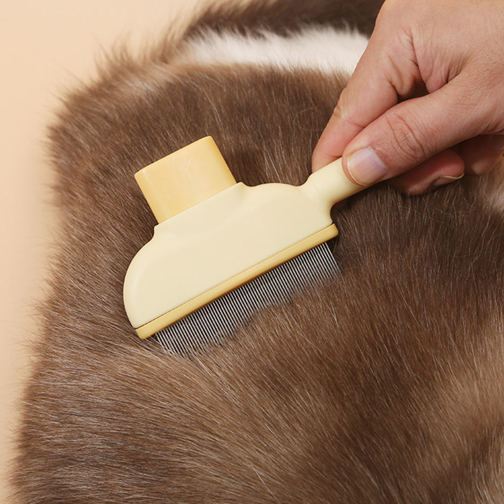 2PCS Pet Hair Removal Comb With Long And Short Teeth Flea Comb Grooming Brush For Cat Dog
