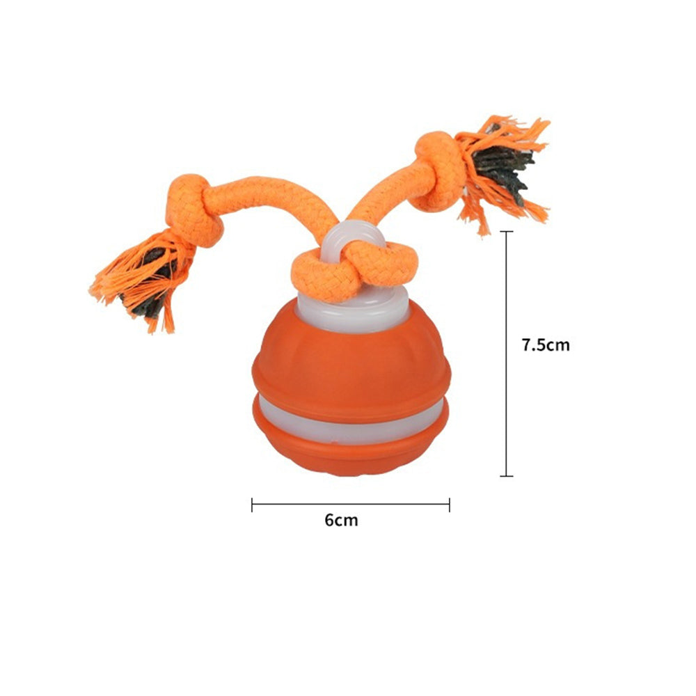 Motion Activated Interactive Dog Ball Toy