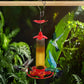 Plastic Hummingbird Feeder for Hanging Outdoors