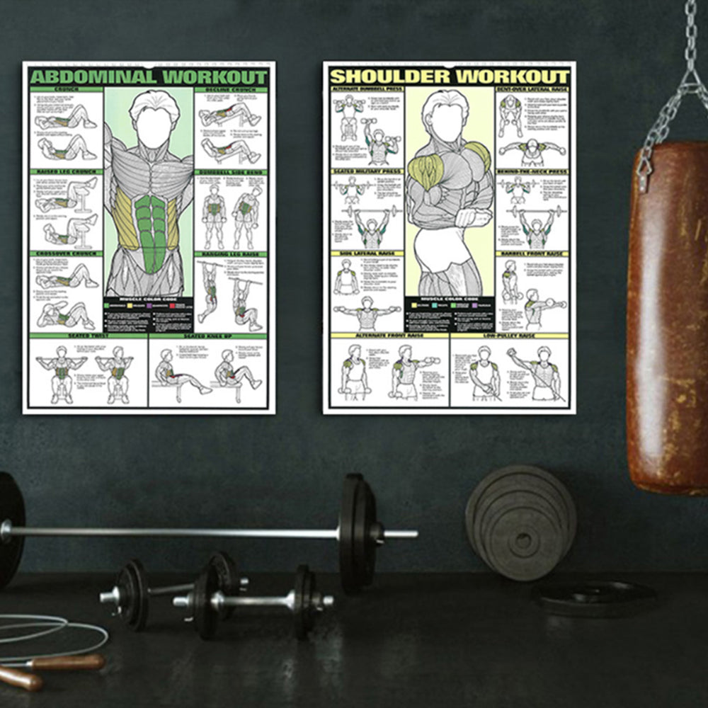 Gym Workout Muscle Poster