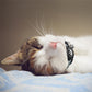 Reflective Pet Airtag Protective Case Collar for Apple Air Tag