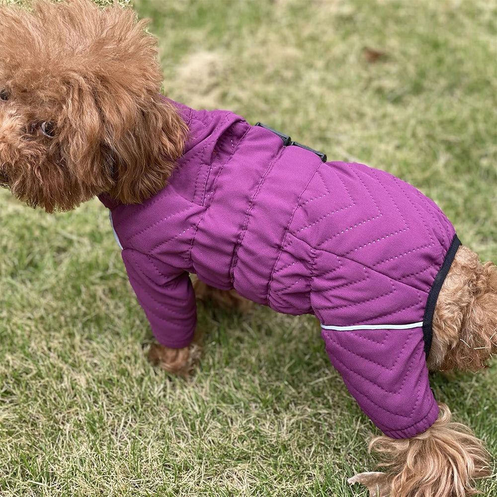 Dog Coat 4 Legs Covered Windproof Waterproof Dog Winter Jacket-Purple