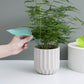 9Pcs Plant Pot Watering Funnel Color Leaf Plant Watering Devices Watering Spikes Plant Leaf Shape
