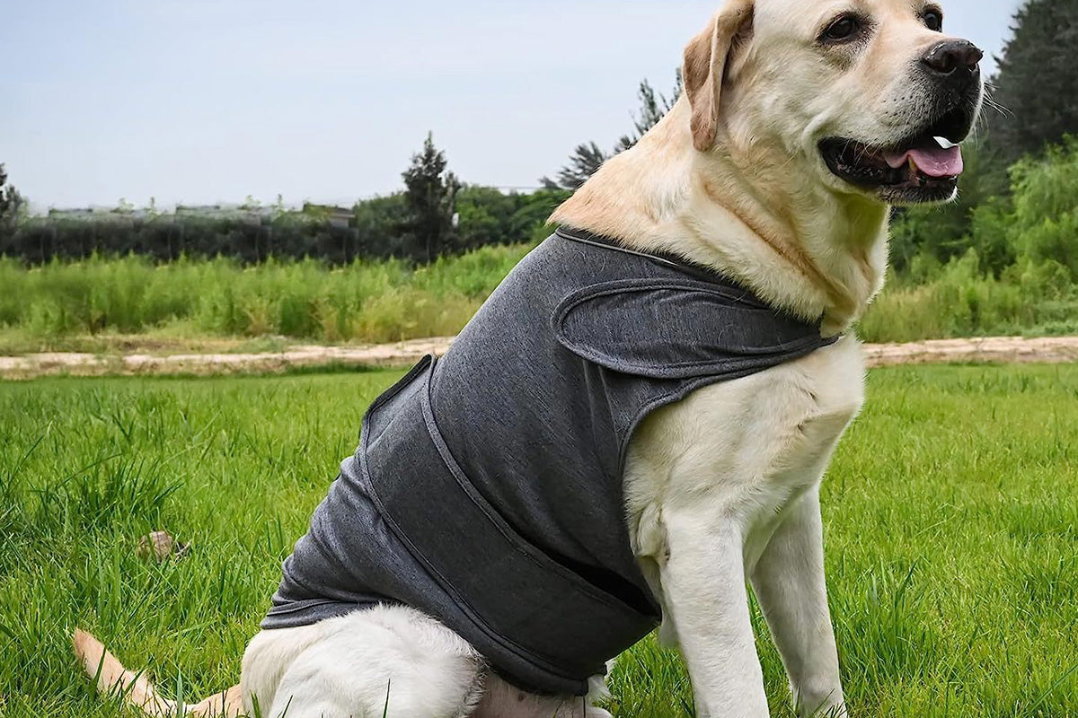 Pet Anxiety Relief Vest Dog Adjustable Calming Wrap for Thunderstorms Travel