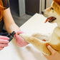 Quiet Rechargeable Electric Pet Nail Grinder Painless Paw Clipper