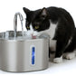Automatic Pet Water Fountain USB 2.2L Stainless Steel for Cats and Small Animals