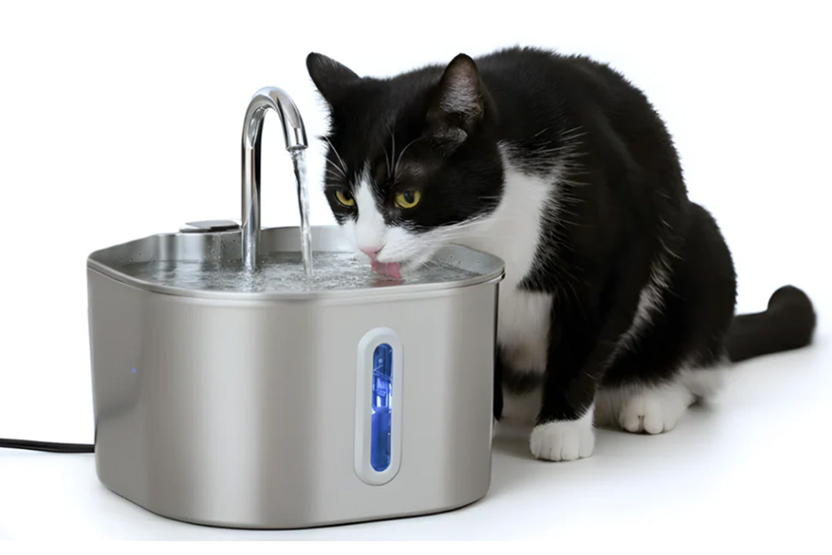 Automatic Pet Water Fountain USB 2.2L Stainless Steel for Cats and Small Animals