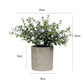 3Pcs Mini Potted Artificial Plastic Green Plants-Round leaf potted plant