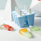 6 Cavity Ice Cream Mould Block Popsicle Molds Ice Lolly Mold With Sticks