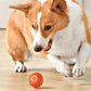Pet Rolling Jumping Bouncing Ball Automatic Rolling Ball Toys