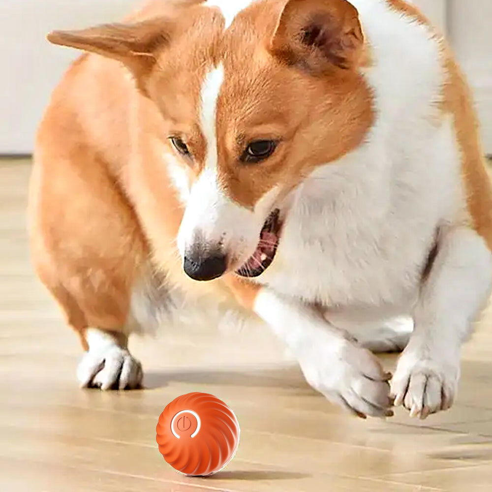 Pet Rolling Jumping Bouncing Ball Automatic Rolling Ball Toys
