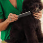 Double Sided Stainless Steel Dematting Grooming Comb for Dogs and Cats