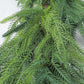 Christmas Norfolk Pine Garland Greenery Garland for Home Decor Fireplace