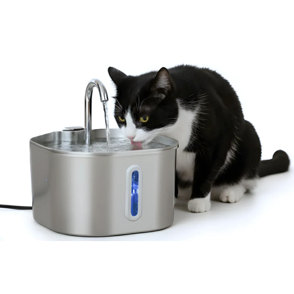 Electronic Automatic Pet Water Fountain USB 2.2L for Cats and Small Animals
