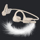 Open Ear Air Conduction Bluetooth Headphones with Noise Canceling Mic for Sports Office