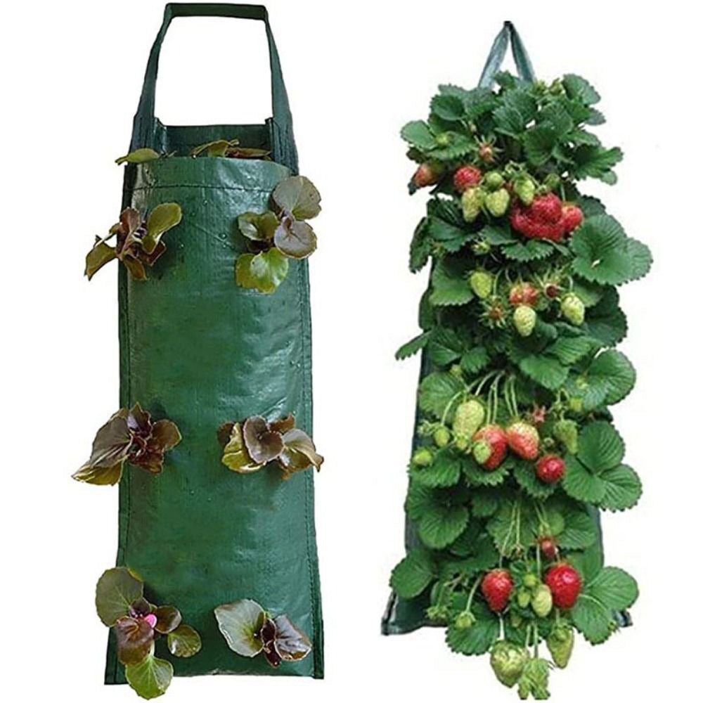 Breathable Hanging Type Strawberry Planting Bag