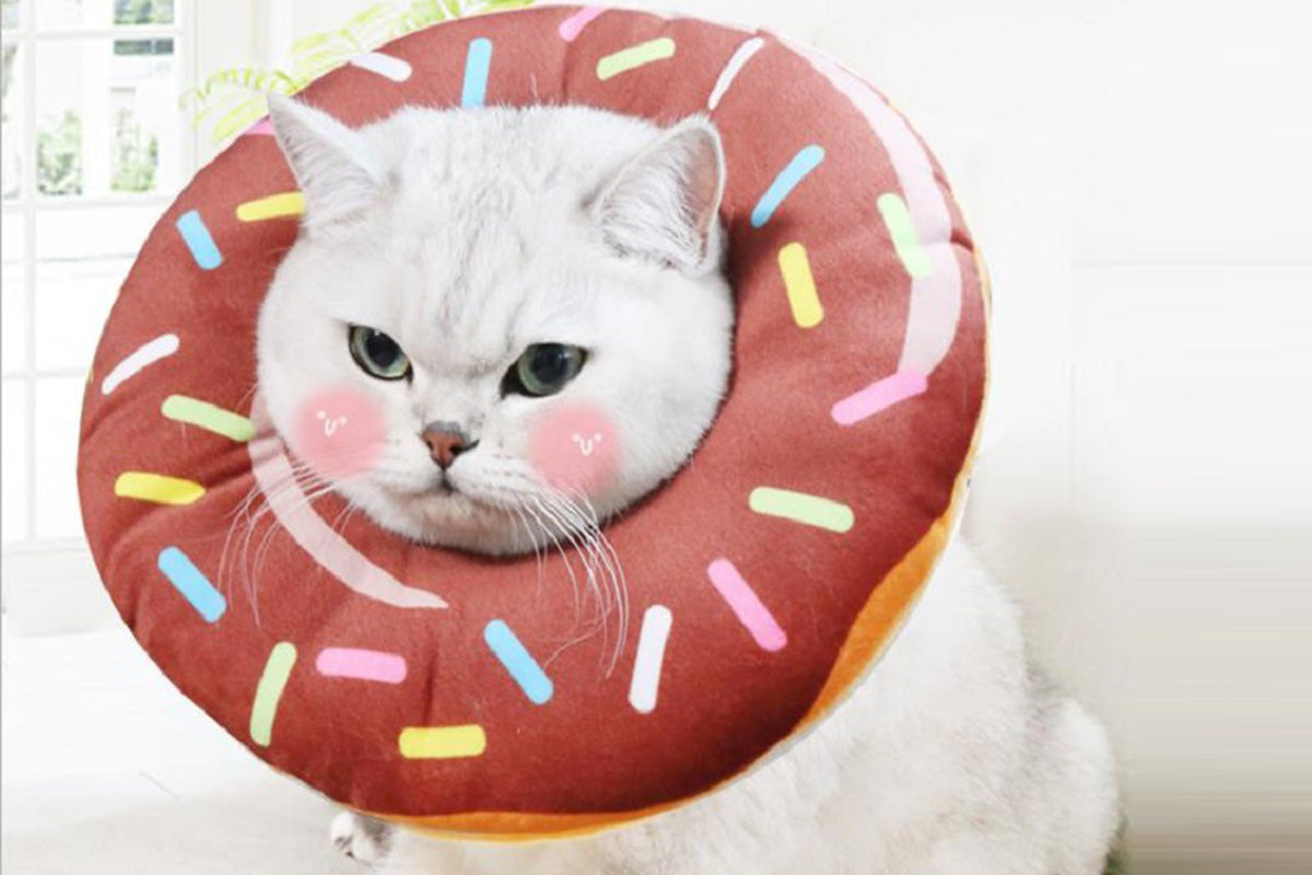 Cat Cone Soft Collar Adjustable Kitten Recovery Cones Cat Donut Collar-Dark Brown