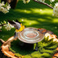 Copper Bird Bath Cleaning Disc for Outdoor Garden Use