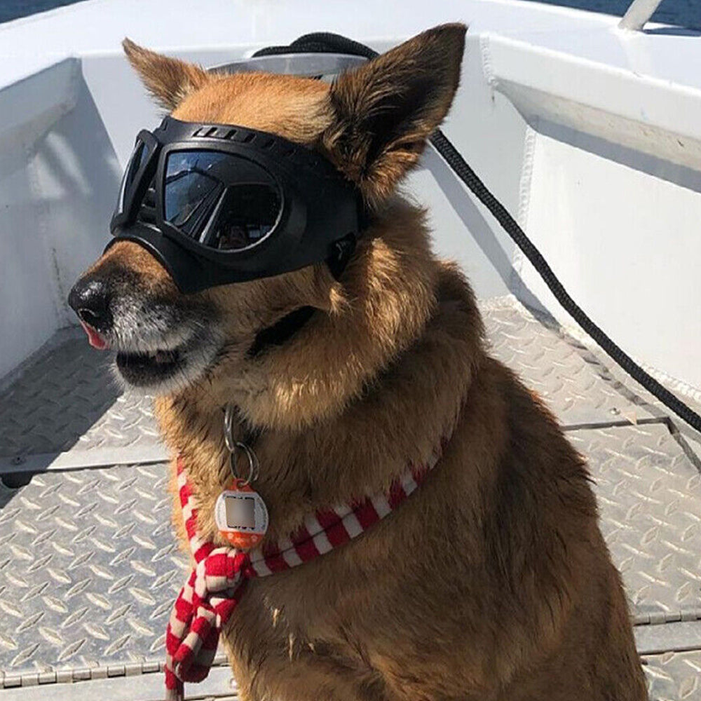 Dog Goggles Dog Sunglasses for Small Dogs with Storage Case