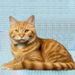 All Season Outdoor Cat House Self-Warming Shelter for Cats & Small Pets