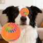 Interactive Dog Ball Toy Smart Moving Bouncing Dog Ball with LED Lights for Dogs Puppies